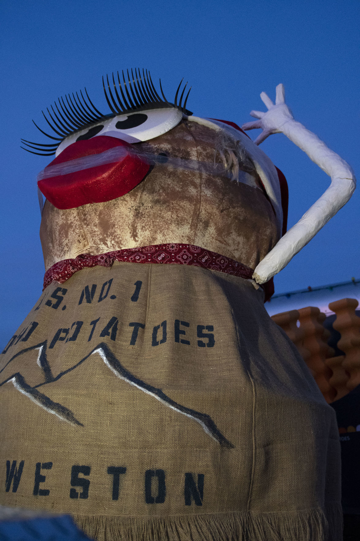 Festival of Lights Parade, 2019